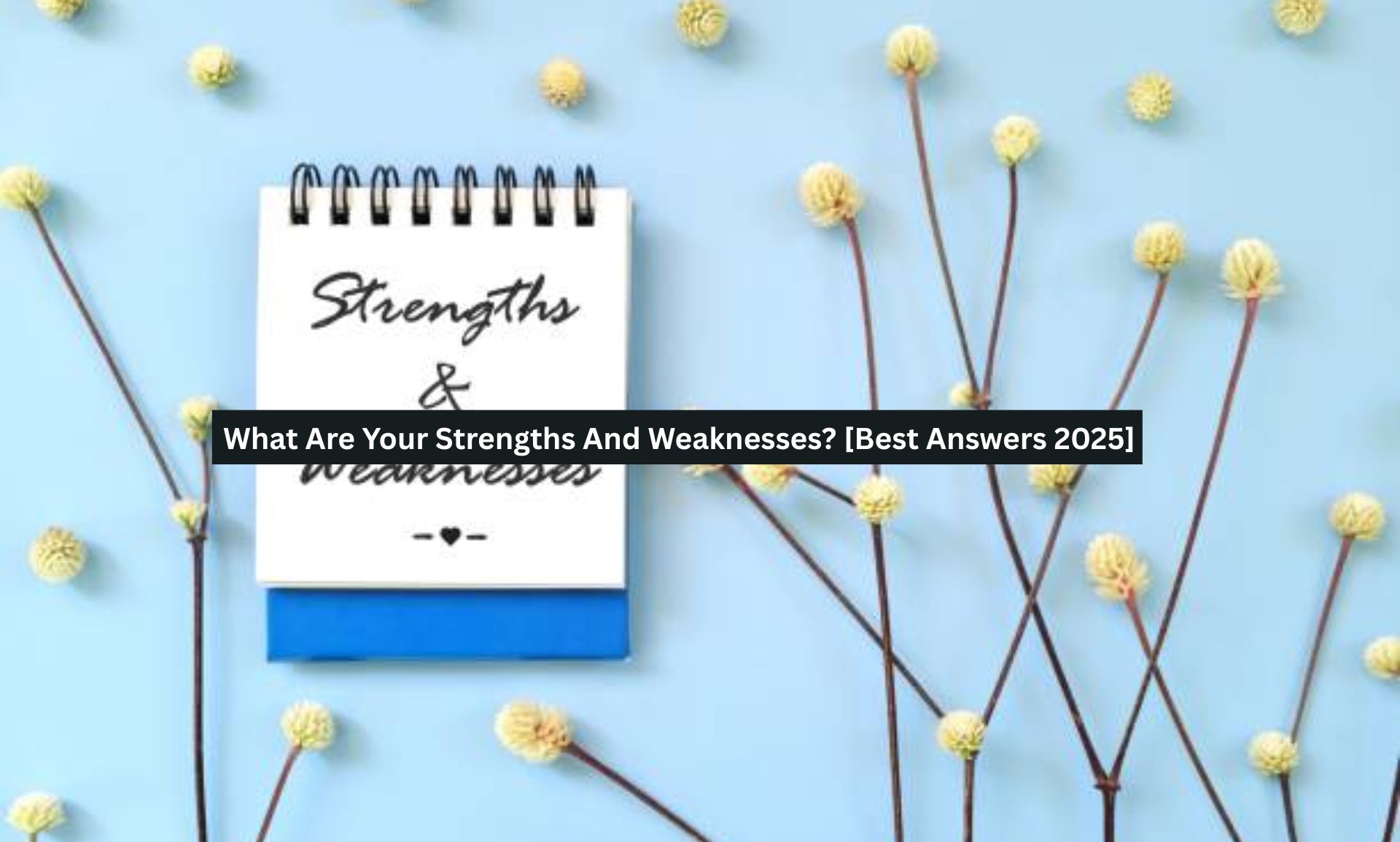 Strengths And Weaknesses